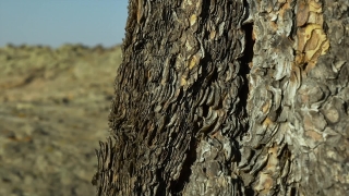 Premium HD Video Clip, HD Stock Footage, Stock Video Clip, Download