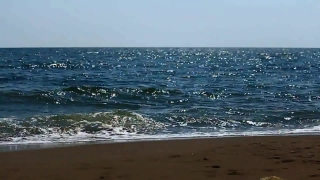 Premium HD Video Clip, HD Stock Footage, Stock Video Clip, Download