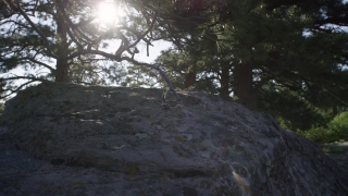 Premium HD Video Clip, HD Stock Footage, Stock Video Clip, Download
