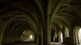 Premium HD Video Clip, HD Stock Footage, Stock Video Clip, Download