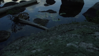 Premium HD Video Clip, HD Stock Footage, Stock Video Clip, Download