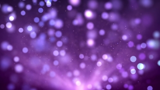 Purple Glitter and Dust Loop - Video HD