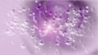 Purple Little Flowers Loop - Video HD