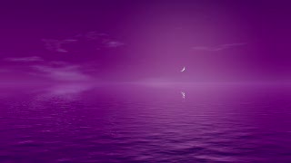 Purple Ocean and Sky Loop - Video HD