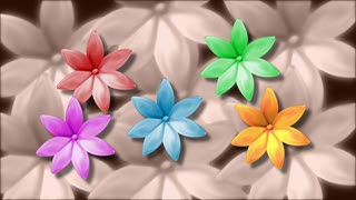 Rainbow Flowers Loop - Video HD