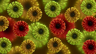 Red Green and Yellow Flowers Loop - Video HD