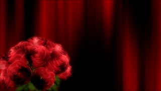 Red Roses Bouquet Spinning Loop - Video HD