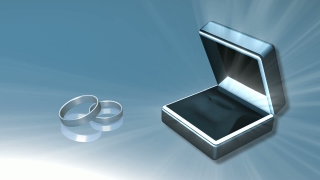 Silver Wedding Rings and Box Loop - Video HD