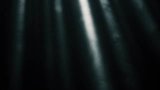 Special HD 4K Motion Graphics, HD Motion Graphics, Green Screen, Background, Download