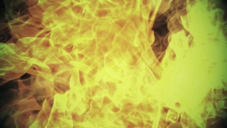 Special HD 4K Motion Graphics, HD Motion Graphics, Green Screen, Background, Download