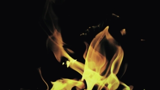 Special HD 4K Motion Graphics, HD Motion Graphics, Green Screen, Background, Download