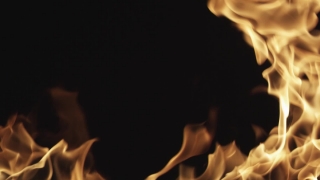 Special HD 4K Motion Graphics, HD Motion Graphics, Green Screen, Background, Download