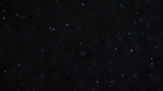 Special HD 4K Motion Graphics, HD Motion Graphics, Green Screen, Background, Download