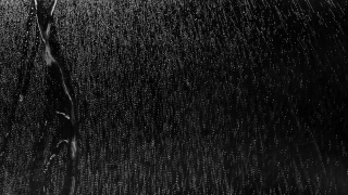 Special HD 4K Motion Graphics, HD Motion Graphics, Green Screen, Background, Download