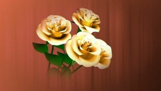 Three Roses Spinning Loop - Video HD