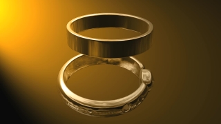 Wedding Bands Animation - Video HD