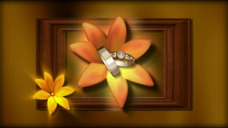 Wedding Rings and Orange Flowers Loop - Video HD