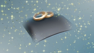 Wedding Rings over Soft Pillow Loop - Video HD