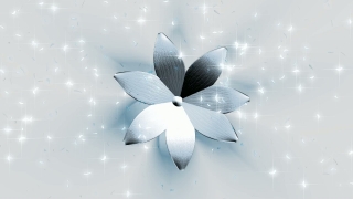 White Flower over Snow Loop - Video HD