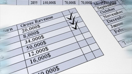 Year Finances and Revenue Loop - Video HD