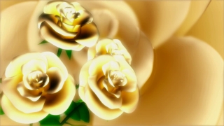 Yellow Roses Spinning Loop - Video HD