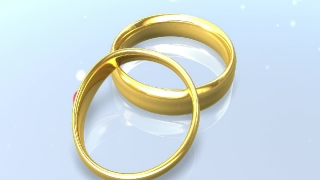 Fancy Wedding Bands Loop - Video HD