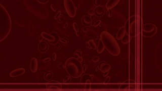 Free HD Motion Graphics, Video Background, Motion Background, Green Screen, Animation, Download