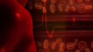 Free HD Motion Graphics, Video Background, Motion Background, Green Screen, Animation, Download