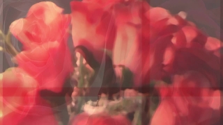 Free HD Motion Graphics, Video Background, Motion Background, Green Screen, Animation, Download