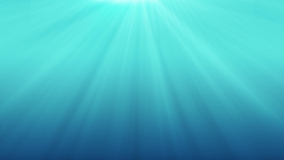 Premium 4K Video Clip, 4K Motion Graphics, Green Screen, Background, Animation, Download