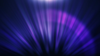 Premium 4K Video Clip, 4K Motion Graphics, Green Screen, Background, Animation, Download
