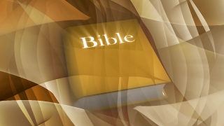 Premium 4K Video Clip, 4K Motion Graphics, Green Screen, Background, Animation, Download