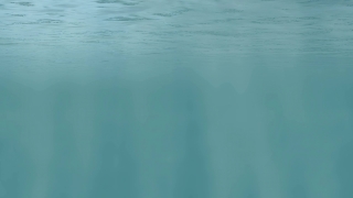 Premium 4K Video Clip, 4K Motion Graphics, Green Screen, Background, Animation, Download