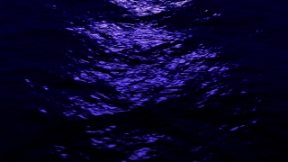 Premium 4K Video Clip, 4K Motion Graphics, Green Screen, Background, Animation, Download