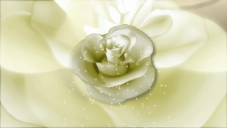 Premium 4K Video Clip, 4K Motion Graphics, Green Screen, Background, Animation, Download