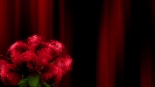 Premium 4K Video Clip, 4K Motion Graphics, Green Screen, Background, Animation, Download