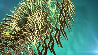 Premium 4K Video Clip, 4K Motion Graphics, Green Screen, Background, Animation, Download