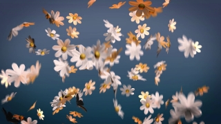 Premium 4K Video Clip, 4K Motion Graphics, Green Screen, Background, Animation, Download