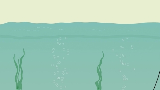 Premium 4K Video Clip, 4K Motion Graphics, Green Screen, Background, Animation, Download