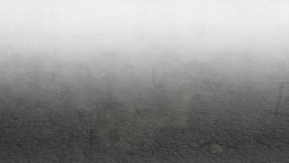 Premium 4K Video Clip, 4K Motion Graphics, Green Screen, Background, Animation, Download