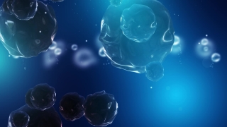 Premium HD Video Clip, HD Motion Graphics, Green Screen, Background, Animation, Download
