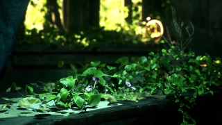 Premium HD Video Clip, HD Motion Graphics, Green Screen, Background, Animation, Download