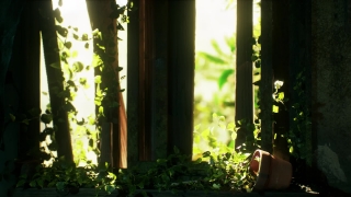Premium HD Video Clip, HD Motion Graphics, Green Screen, Background, Animation, Download