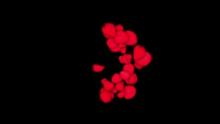 Red Rose Petals Loop - Video HD