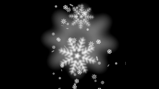 Snowflakes Falling Loop - Video HD
