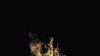 Special FX 4K Motion Graphics, 4K Motion Graphics, Green Screen, Background, Download