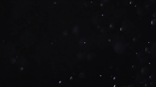 Special FX 4K Motion Graphics, 4K Motion Graphics, Green Screen, Background, Download