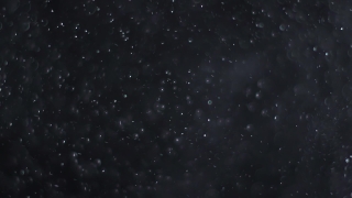 Special FX 4K Motion Graphics, 4K Motion Graphics, Green Screen, Background, Download